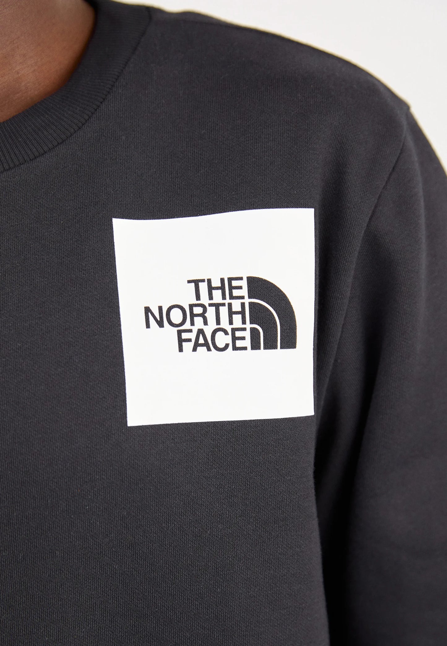 Felpa The North Face
