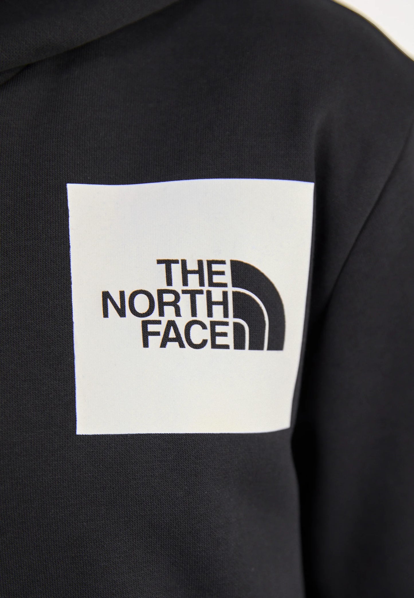 Felpa The North Face